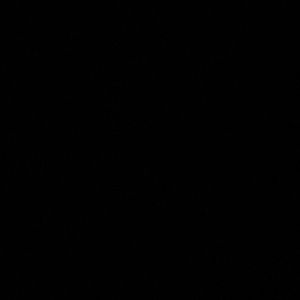 Meet your Posher, Vonchae